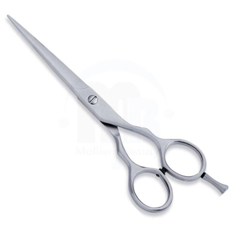  Economy Hair Scissors