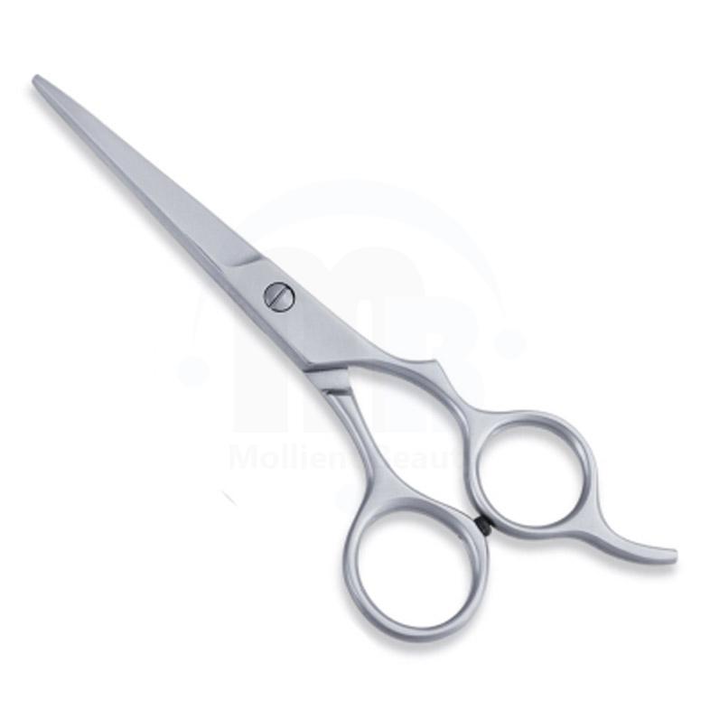  Economy Hair Scissors