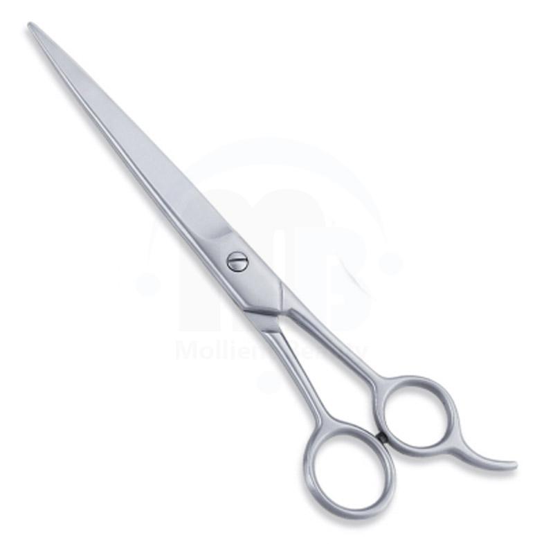  Economy Hair Scissors