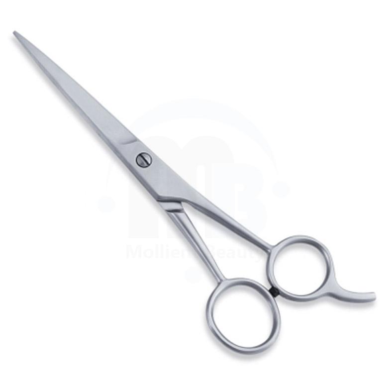  Economy Hair Scissors